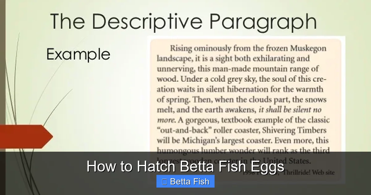 How to Hatch Betta Fish Eggs
