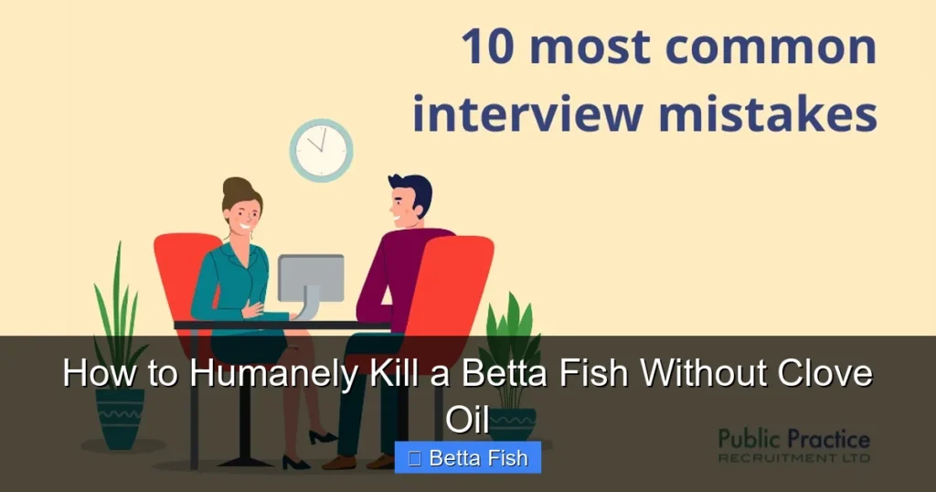 How to Humanely Kill a Betta Fish Without Clove Oil