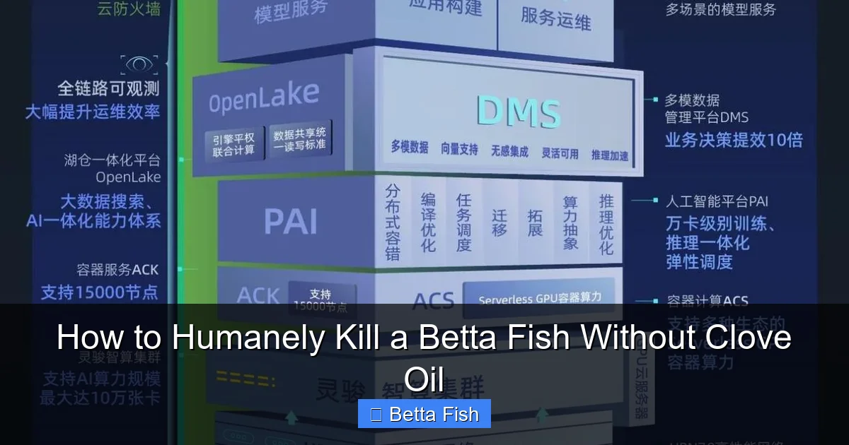 How to Humanely Kill a Betta Fish Without Clove Oil