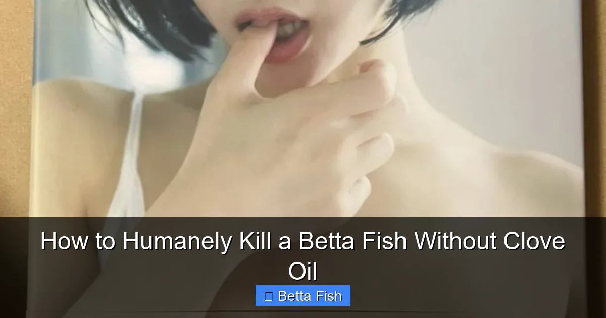 How to Humanely Kill a Betta Fish Without Clove Oil