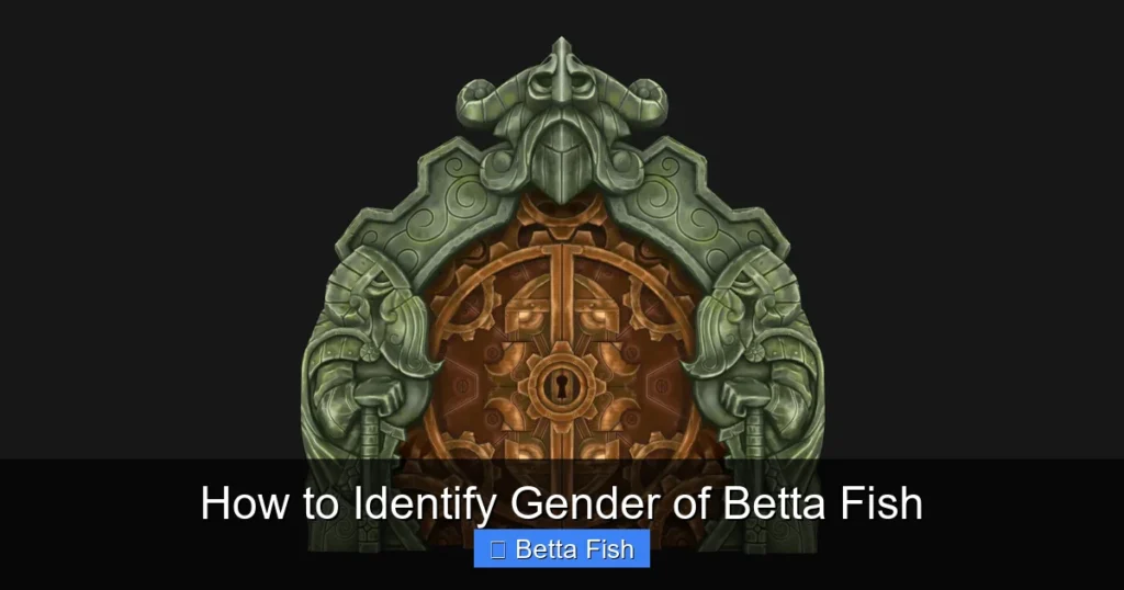 How to Identify Gender of Betta Fish