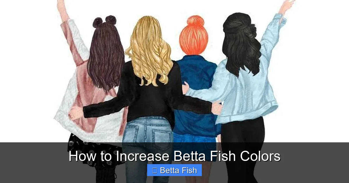 How to Increase Betta Fish Colors