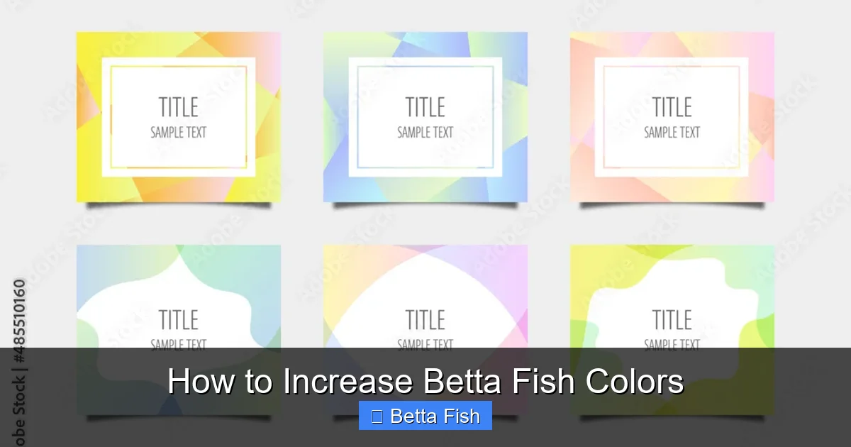How to Increase Betta Fish Colors