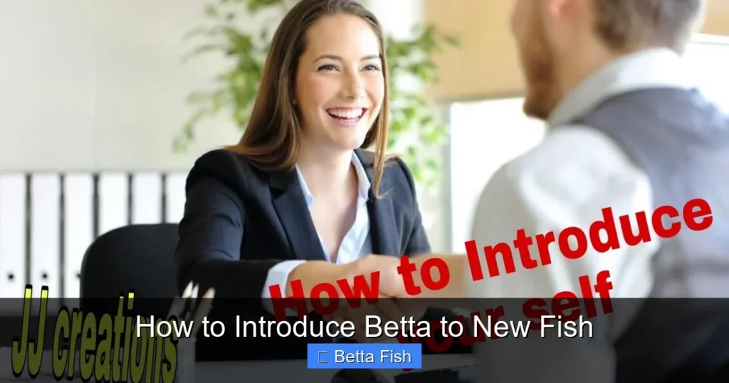 How to Introduce Betta to New Fish