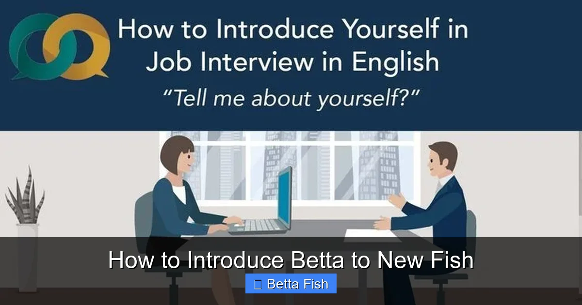 How to Introduce Betta to New Fish