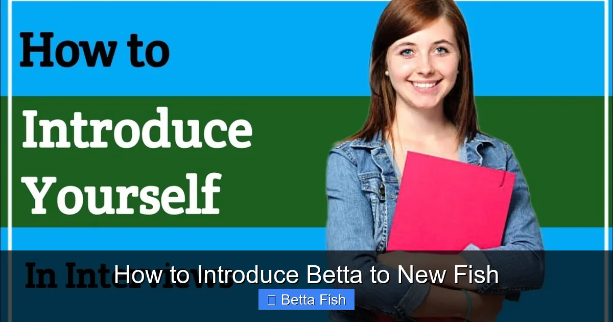 How to Introduce Betta to New Fish
