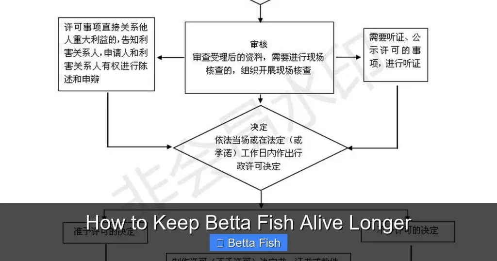 How to Keep Betta Fish Alive Longer