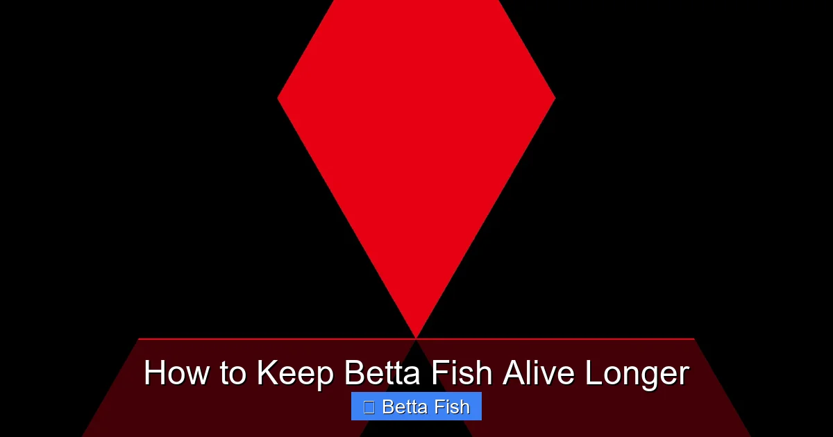 How to Keep Betta Fish Alive Longer