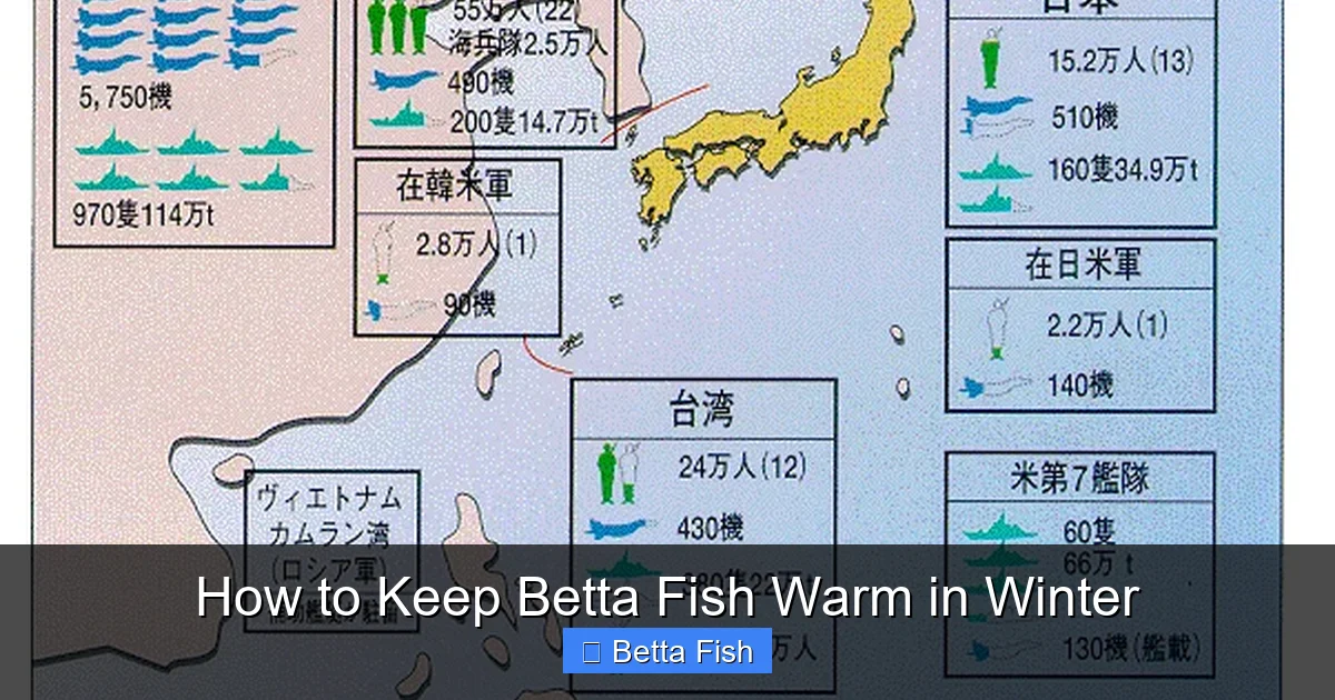 How to Keep Betta Fish Warm in Winter