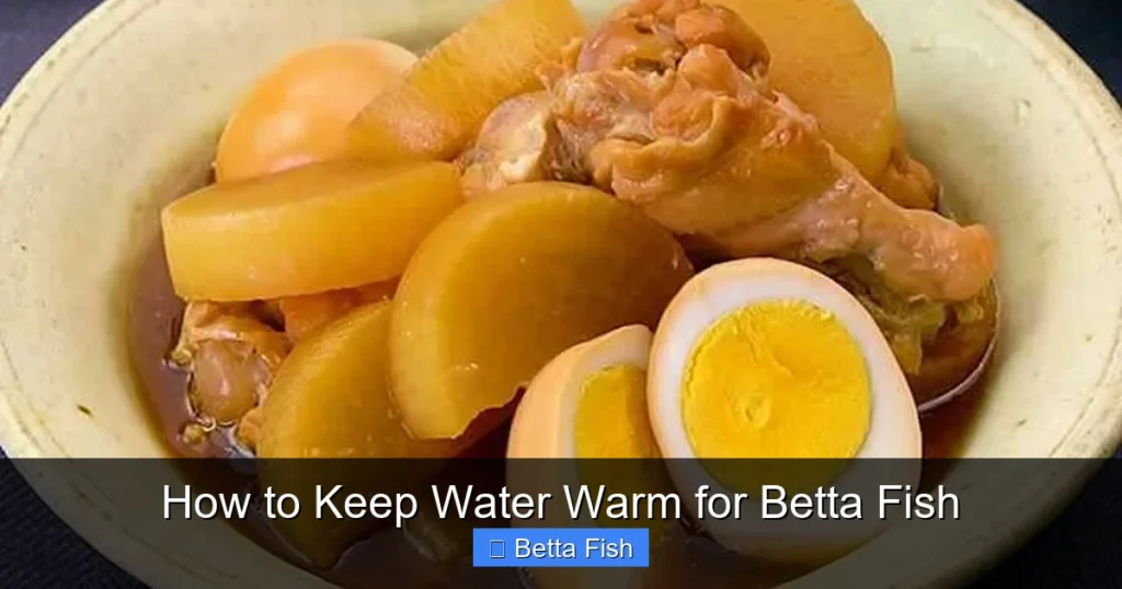 How to Keep Water Warm for Betta Fish