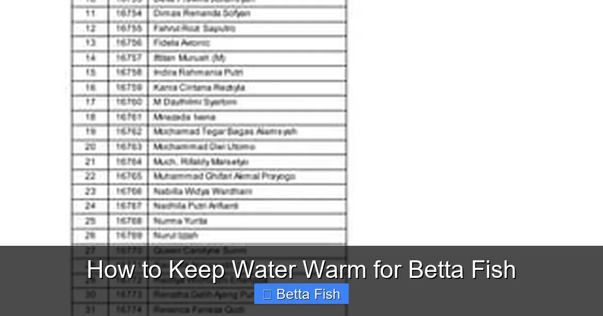 How to Keep Water Warm for Betta Fish