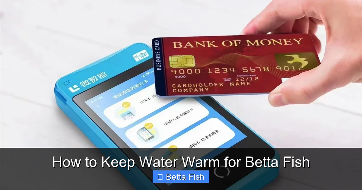 How to Keep Water Warm for Betta Fish