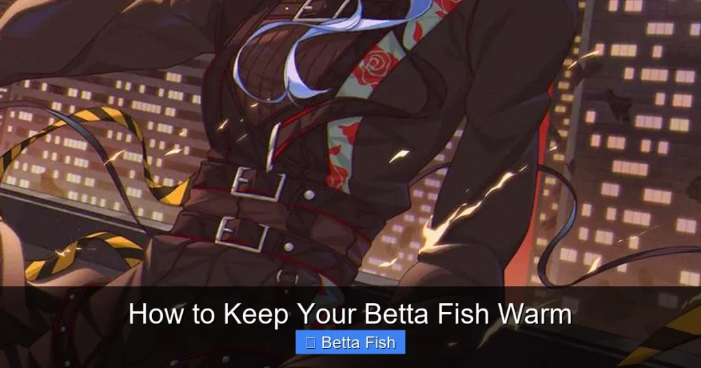 How to Keep Your Betta Fish Warm