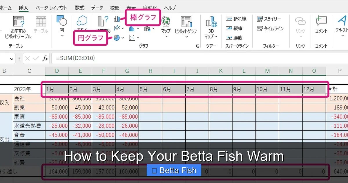 How to Keep Your Betta Fish Warm