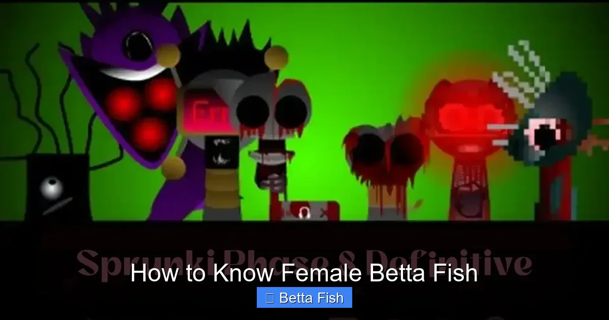 How to Know Female Betta Fish