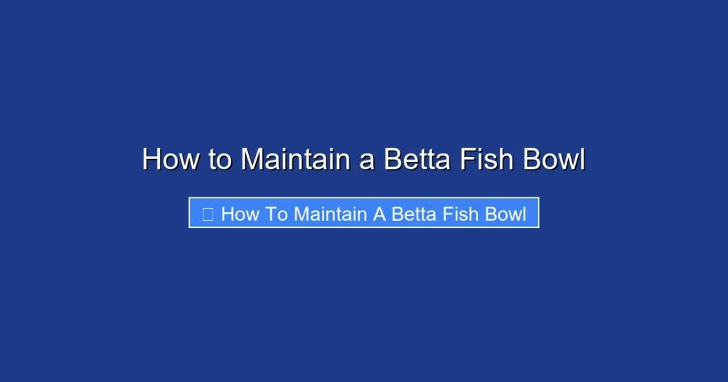 How to Maintain a Betta Fish Bowl