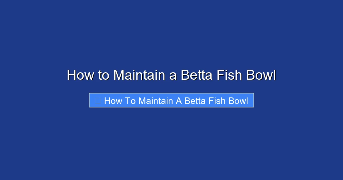 How to Maintain a Betta Fish Bowl