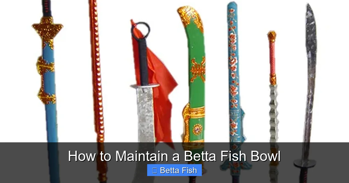 How to Maintain a Betta Fish Bowl
