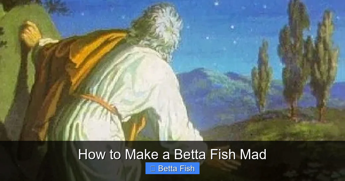 How to Make a Betta Fish Mad