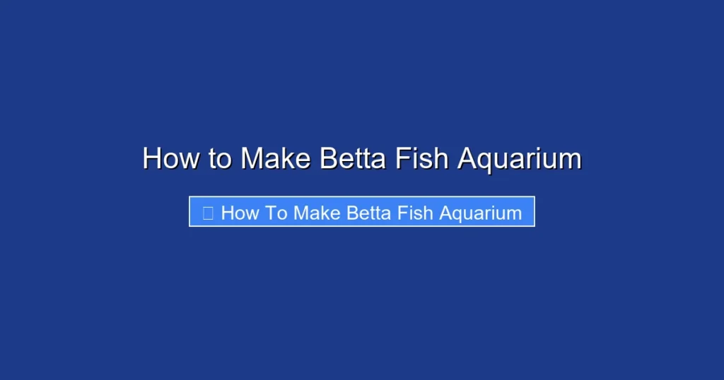 How to Make Betta Fish Aquarium