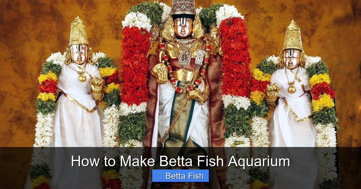 How to Make Betta Fish Aquarium