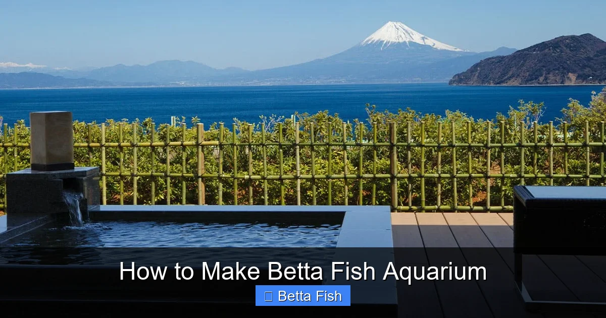 How to Make Betta Fish Aquarium