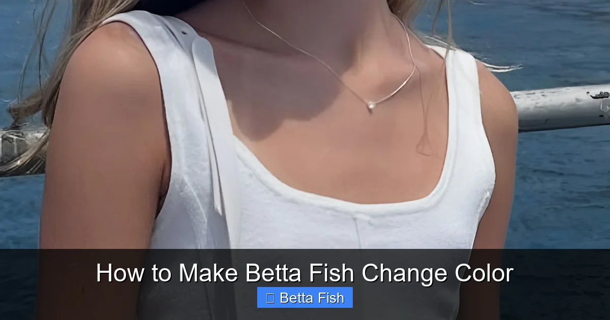How to Make Betta Fish Change Color