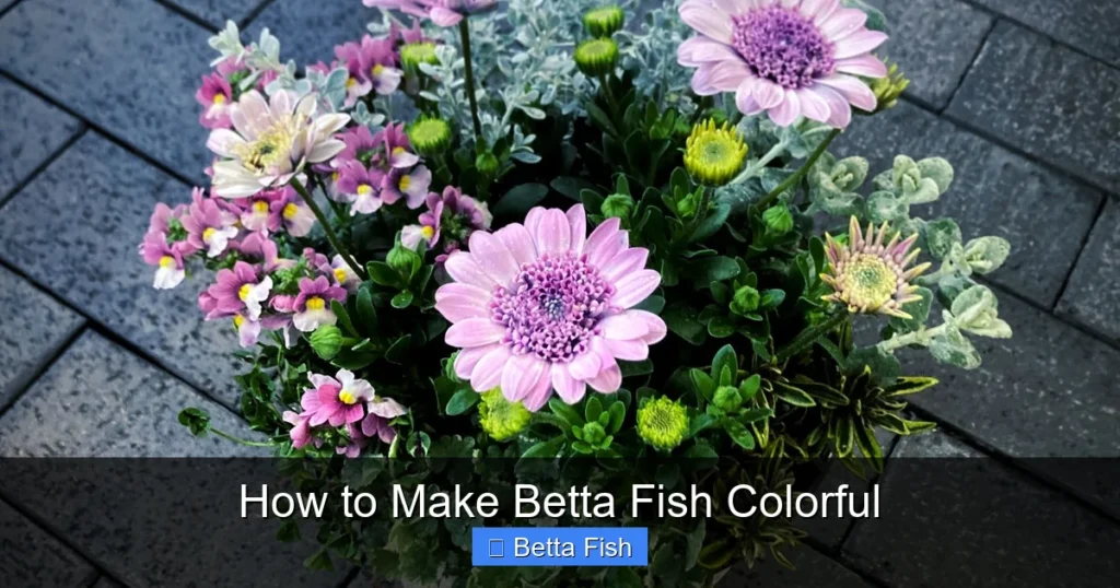 How to Make Betta Fish Colorful