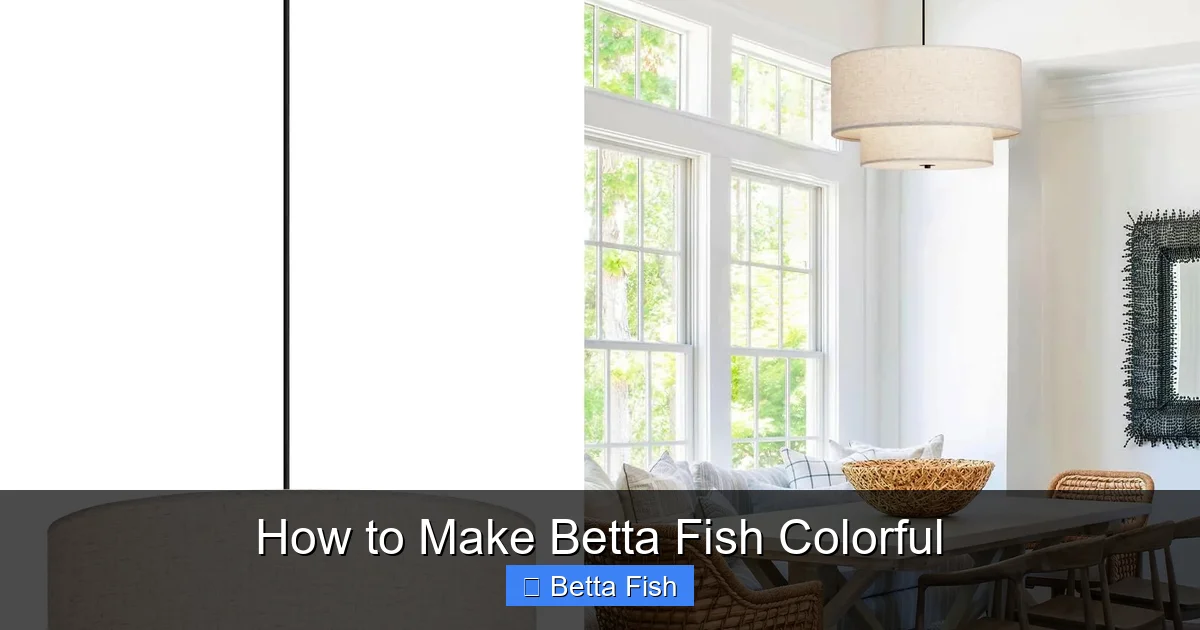 How to Make Betta Fish Colorful