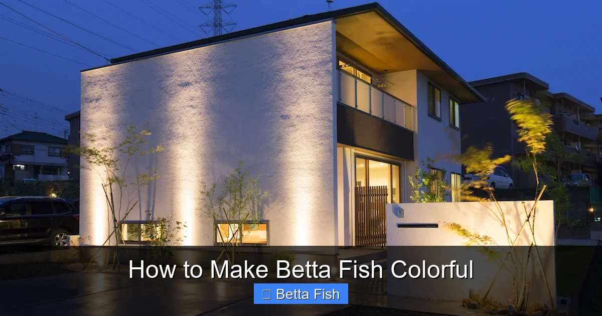 How to Make Betta Fish Colorful