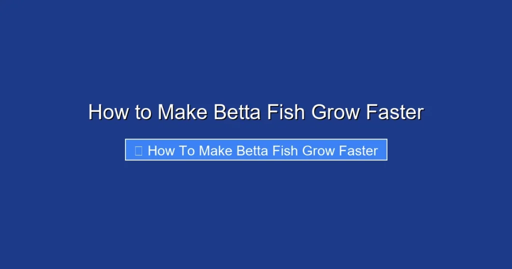 How to Make Betta Fish Grow Faster