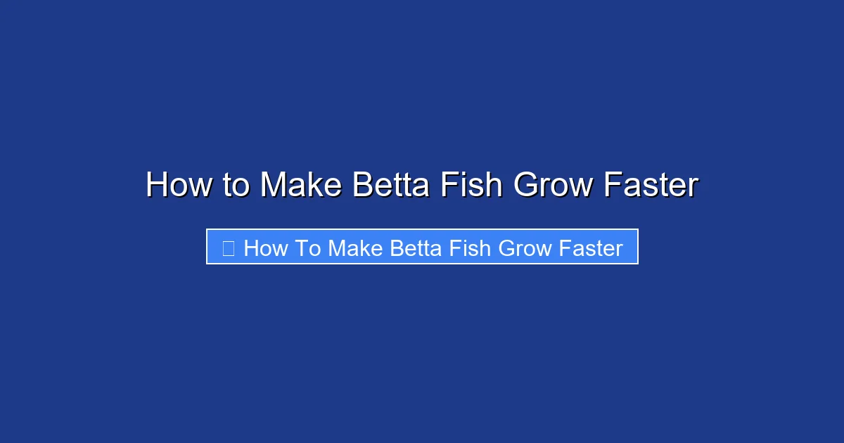 How to Make Betta Fish Grow Faster