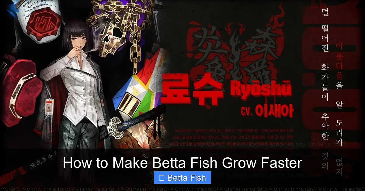 How to Make Betta Fish Grow Faster