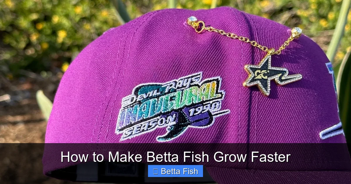 How to Make Betta Fish Grow Faster