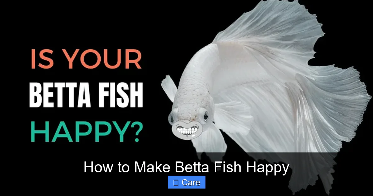 How to Make Betta Fish Happy