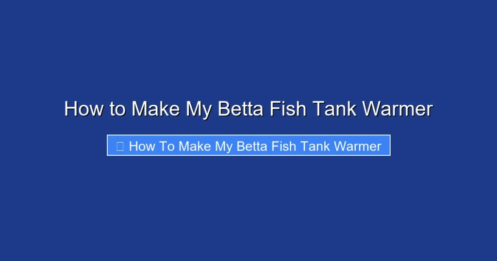 How to Make My Betta Fish Tank Warmer