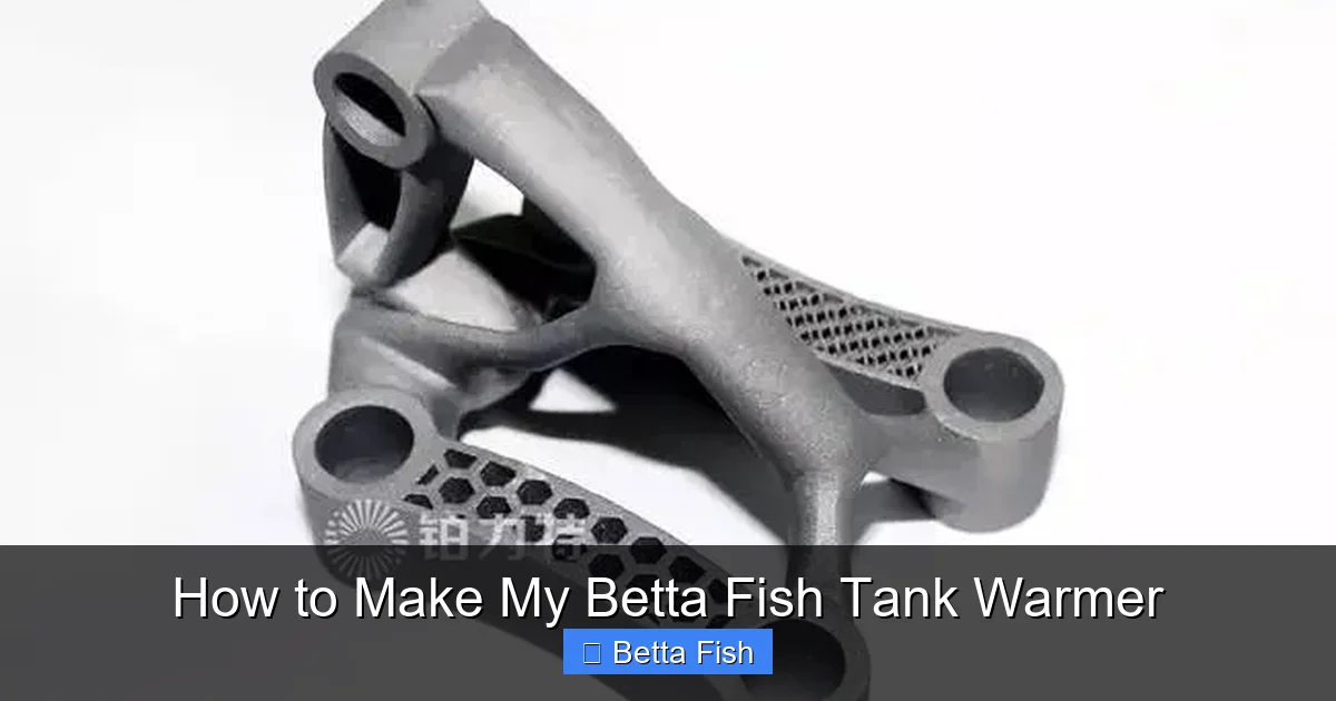 How to Make My Betta Fish Tank Warmer