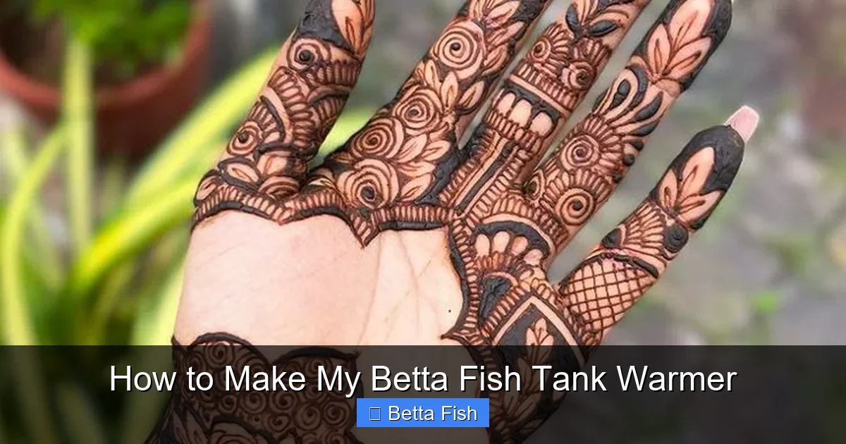How to Make My Betta Fish Tank Warmer