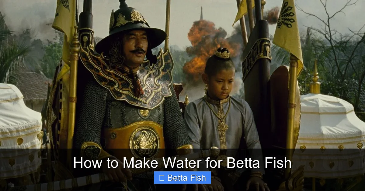 How to Make Water for Betta Fish