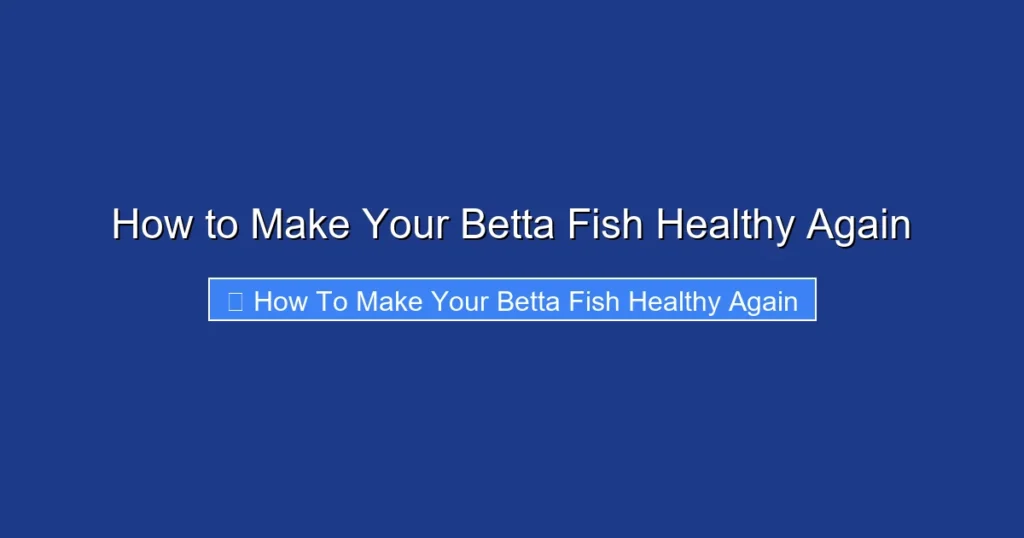 How to Make Your Betta Fish Healthy Again