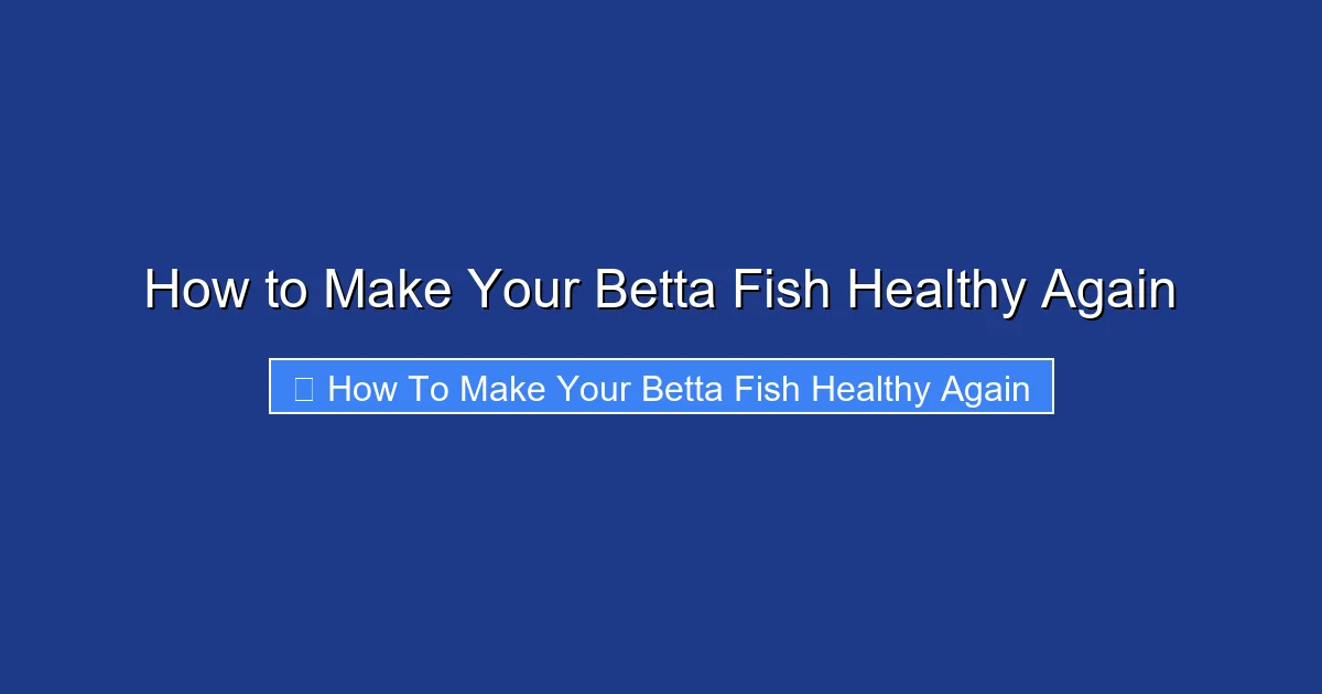 How to Make Your Betta Fish Healthy Again