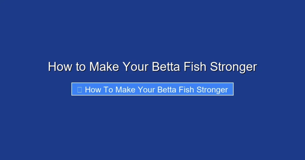 How to Make Your Betta Fish Stronger