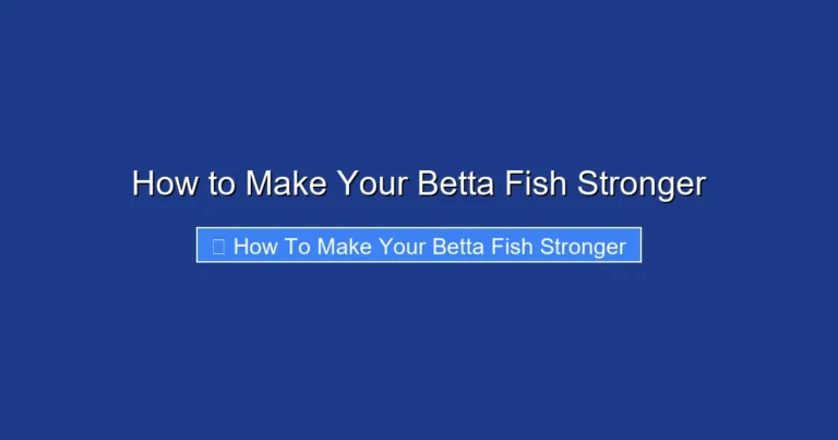 How to Make Your Betta Fish Stronger