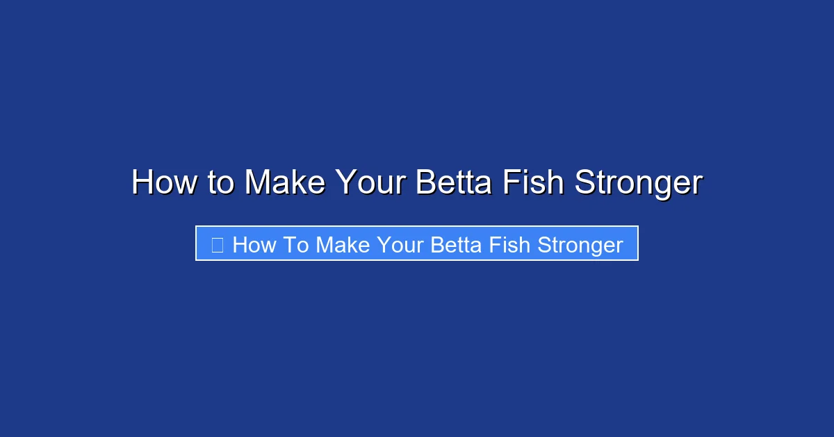 How to Make Your Betta Fish Stronger