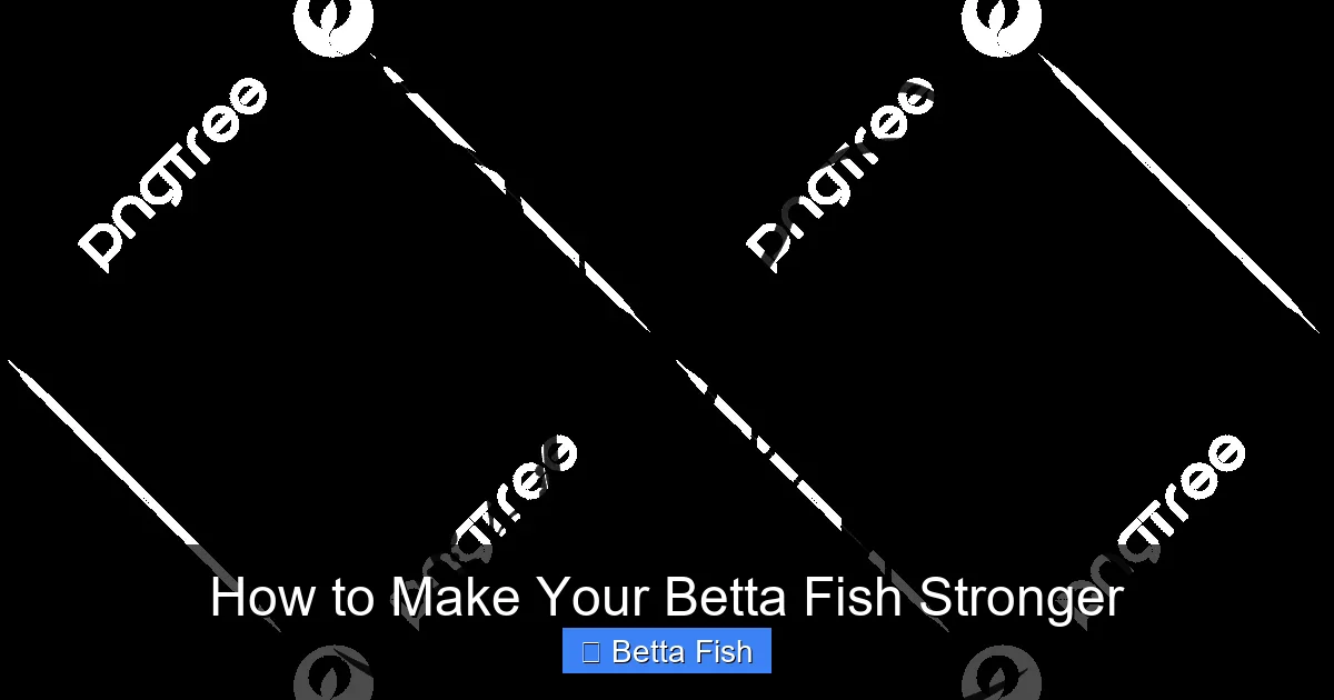 How to Make Your Betta Fish Stronger