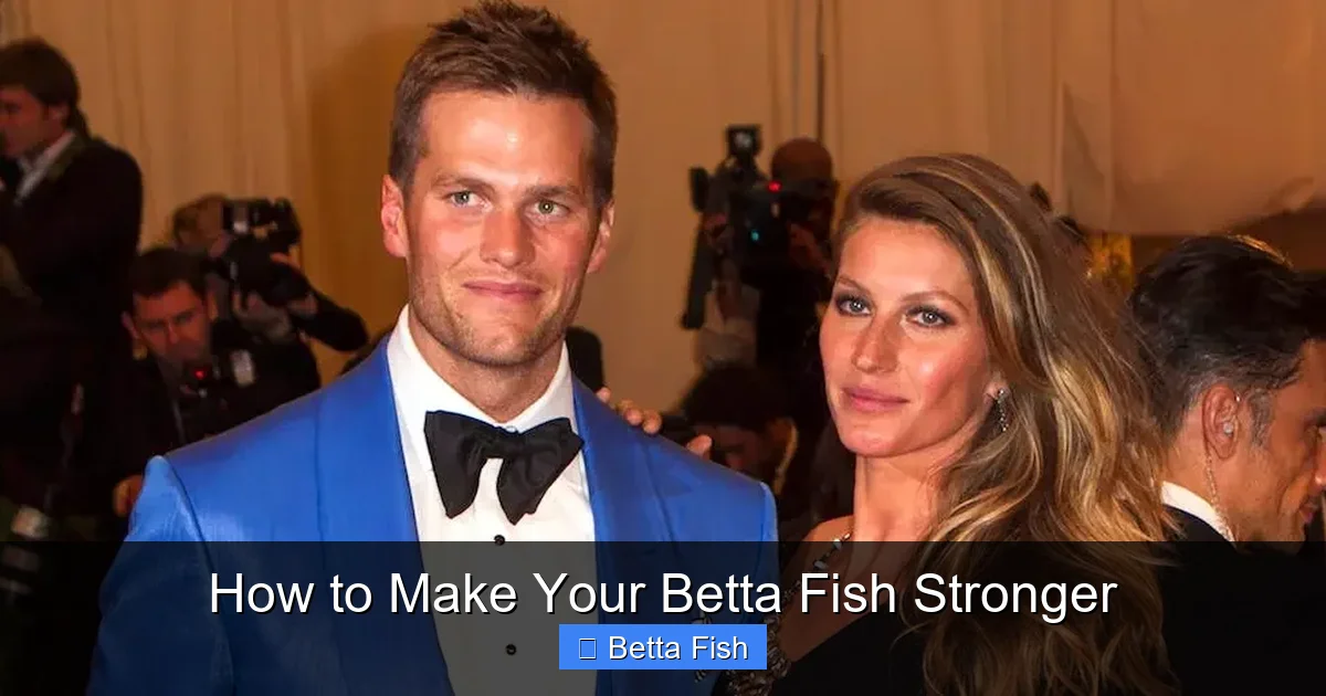 How to Make Your Betta Fish Stronger