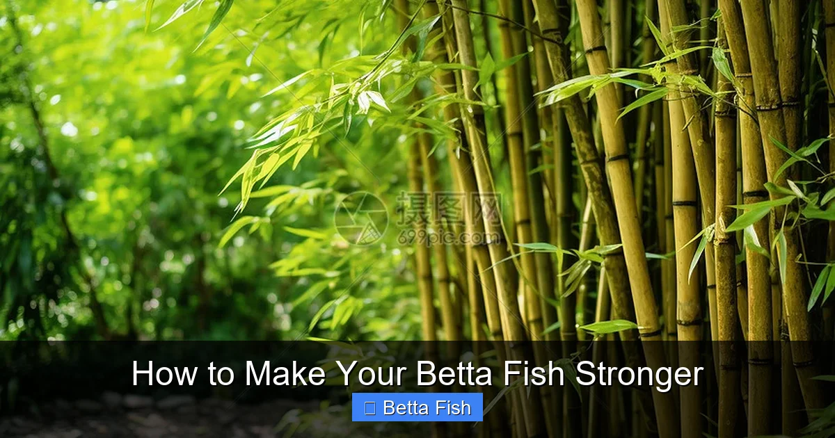 How to Make Your Betta Fish Stronger