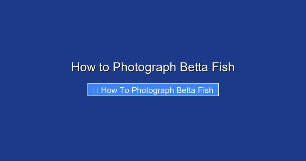 How to Photograph Betta Fish
