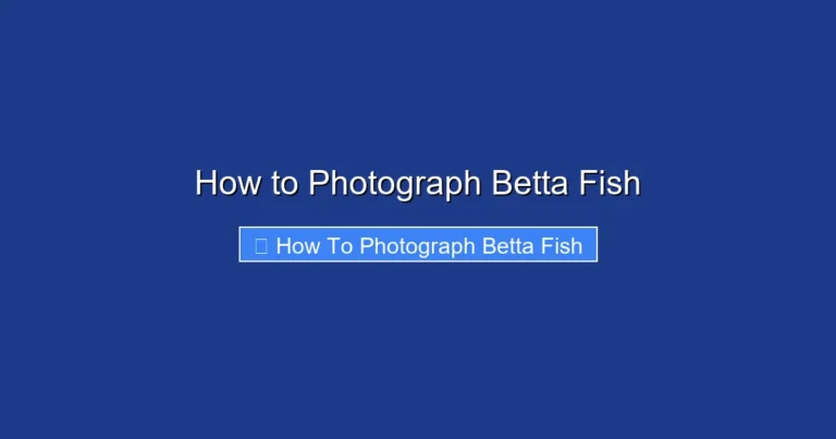 How to Photograph Betta Fish