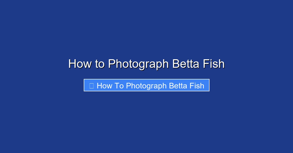 How to Photograph Betta Fish